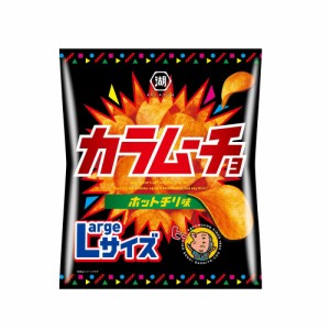 ◆湖池屋 カラムーチョ  Lサイズ ホットチリ味 122g【12個セット】