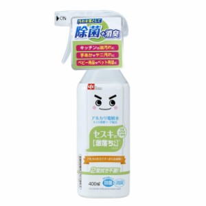 レック セスキの激落ちくん 本体 400ml