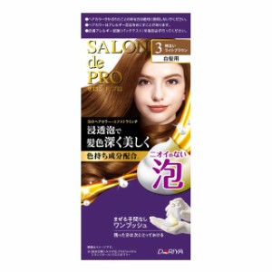 【医薬部外品】ダリヤ サロンドプロ 泡のヘアカラー・エクストラリッチ 3 明るいライトブラウン