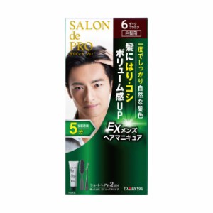 ダリヤ サロンドプロ EXメンズヘアマニキュア（白髪用） 6 ダークブラウン