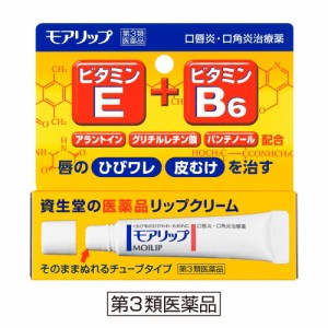 【第3類医薬品】資生堂薬品 モアリップN 8g