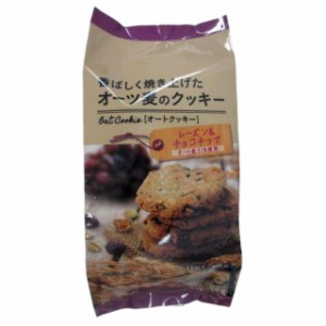 ◆NSINオーツ麦のクッキーレーズン＆チョコチップ 11枚【12個セット】