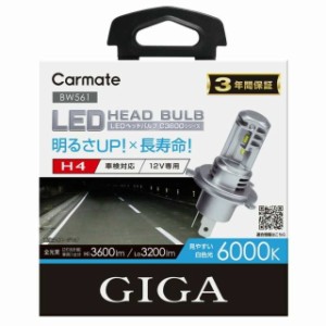 BW561 GIGA LEDヘッド＆フォグバルブ
