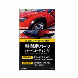 晴香堂 CARALL 黒樹脂パーツハードコーティング 2134 100ml(中型車 約8台分)