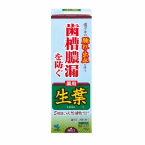 【医薬部外品】小林製薬 薬用ハミガキ 生葉 100g