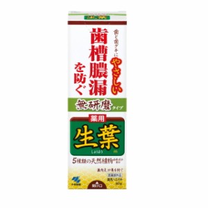 【医薬部外品】小林製薬 生葉 無研磨タイプ 95g