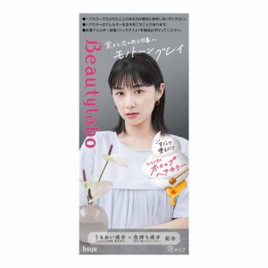 【医薬部外品】ビューティラボ ホイップヘアカラー モノトーングレイ 40ml+80ml／5ml