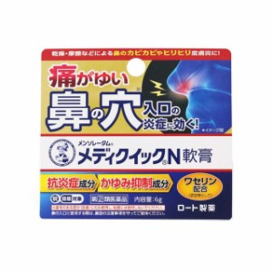 【指定第2類医薬品】ロート製薬 メンソレータム メディクイックN 軟膏 6g【セルフメディケーション税制対象】