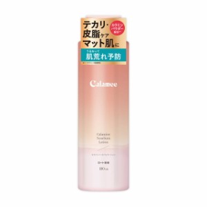 ロート製薬 カラミーカラミンノーセバムローション 180ml