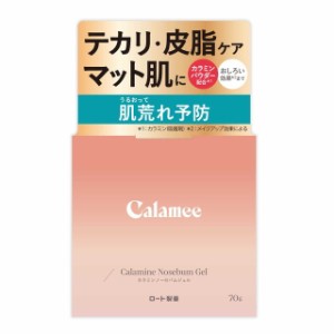 ロート製薬 カラミーカラミンノーセバムジェル 70g