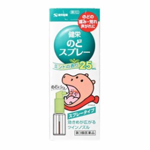 【第3類医薬品】健栄のどスプレー 25mL