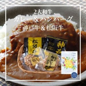 父の日 2大和牛カレー＆ハンバーグ食べ比べ 2024 日頃の感謝を込めて  プレゼント ギフト 贈り物  メッセージカード付き 