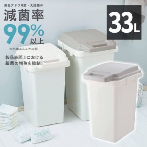 リス 抗菌ペール 防臭 ゴミ箱 33L GY GBED016 ゴミ箱 ごみ箱