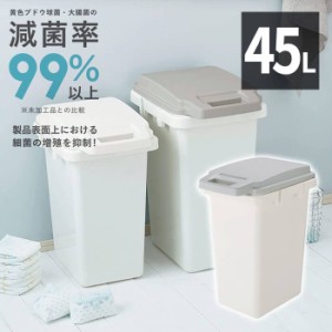 リス 抗菌ペール 防臭 ゴミ箱 45L GY グレー GBED018 ゴミ箱 ごみ箱