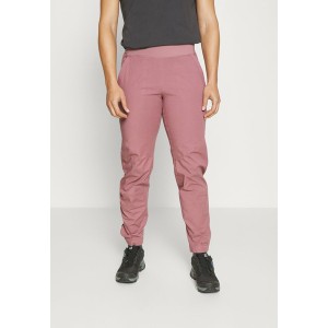 パタゴニア レディース カジュアルパンツ ボトムス CALIZA ROCK PANTS - Trousers - evening mauve evening mauve/mauve