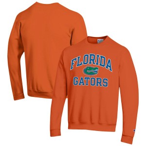 チャンピオン メンズ パーカー・スウェットシャツ アウター Florida Gators Champion High Motor Pullover Sweatshirt Orange