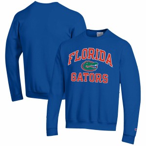 チャンピオン メンズ パーカー・スウェットシャツ アウター Florida Gators Champion High Motor Pullover Sweatshirt Royal