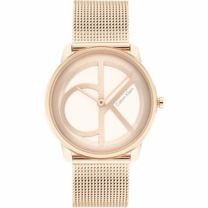 カルバンクライン レディース 腕時計 アクセサリー Ladies Calvin Klein Mesh Watch CG