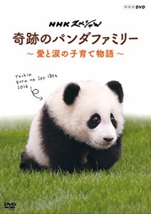 NHKスペシャル 奇跡のパンダファミリー ~愛と涙の子育て物語~ [DVD]