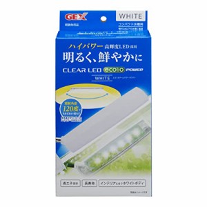 GEX クリアLED エコリオアーム パワー ホワイト 小型LED ハイパワーLED 白色光