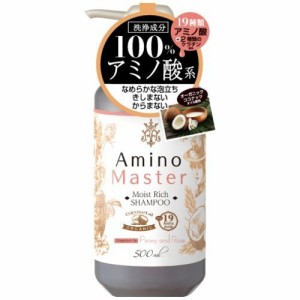 アミノマスターモイストリッチシャンプー