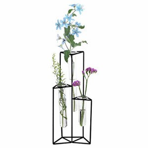花瓶 一輪挿し 3本 置き型 ガラス アイアン フラワーベース Vase 3glass tube (ブラック)