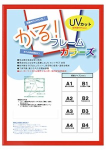 大額 額縁 レッド B2 かる フレーム カラーズ 5015