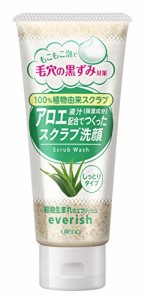 everish(エブリッシュ) アロエスクラブ洗顔 135g