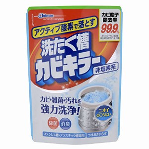 ジョンソン　アクティブ酸素で落とす　洗たく槽カビキラー250ｇ