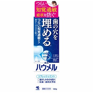 小林製薬　ハウメル　１００ｇ　歯磨き粉