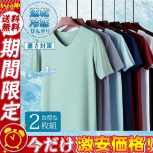 2枚組 ストレッチ 接触冷感 Tシャツ カットソー 半袖 メンズ 夏用 Vネック 吸汗速乾 伸縮性 UVカット 普段着 スポーツ