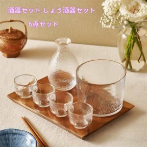 日本酒 酒器セット しょう酒器セット 酒燗器 熱燗 冷酒器 耐熱ガラス 燗瓶 盃 プラチナ350ML徳利 50ML盃4個 6点セットガラス 電子レンジ