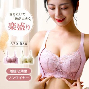 ブラジャー 育乳 脇高ブラ 補正下着 補正ブラ 女性 下着 ノンワイヤーブラ 育乳ブラ ブラ 谷間 育成 脇高 脇肉 痛くない 盛ブラ