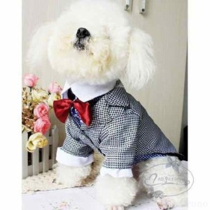 犬服 千鳥格のタキシード シャツ＆ネックレス ペットグッズ ビッグサマーセール 小型犬?中型犬 ドレス ワンちゃん服 チワワ服