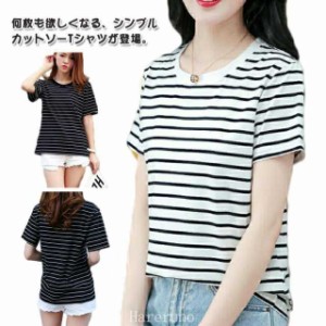 Tシャツ ボーダー 半袖 シンプル カットソー トップス レディース ティシャツ ティーシャツ クルーネック 春 夏 コットン 綿 夏服 春夏