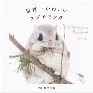 【単行本】 パイインターナショナル / 世界一かわいいエゾモモンガ The　World’s　Cutest　Flying　Squirrel