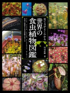 食虫 植物の通販｜au PAY マーケット