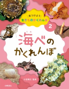 【全集・双書】 小宮輝之 / 海べのかくれんぼ 見つけよう生きものかくれんぼ 送料無料