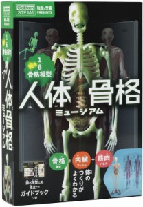 【ムック】 坂井建雄 / 人体骨格ミュージアム 光る1  /  6骨格模型 科学と学習PRESENTS