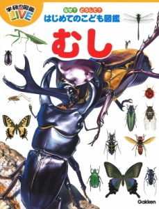 【図鑑】 岡島秀治 / なぜ？どうして？はじめてのこども図鑑　むし
