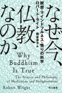 【文庫】 ロバート・ライト / なぜ今、仏教なのか 瞑想・マインドフルネス・悟りの科学 ハヤカワ文庫NF