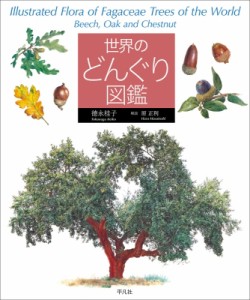 【図鑑】 徳永桂子 / 世界のどんぐり図鑑 送料無料