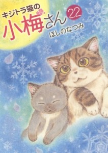 【コミック】 ほしのなつみ / キジトラ猫の小梅さん 22 ねこぱんちコミックス