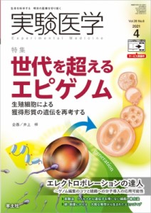 【単行本】 井上梓 / 実験医学 2021年 4月号