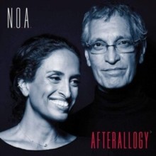 【LP】 Noa ノア / Afterallogy (180g重量盤レコード） 送料無料