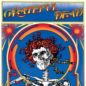 【LP】 Grateful Dead グレートフルデッド / Grateful Dead (Skull  &  Roses) (2枚組 / 180グラム重量盤レコード) 送料無料