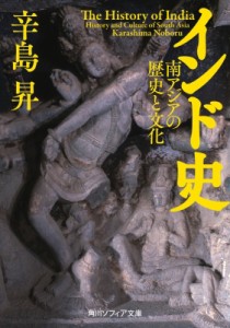 【文庫】 辛島昇 / インド史 南アジアの歴史と文化 角川ソフィア文庫