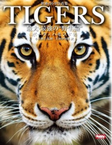 【単行本】 ポーラ・ハモンド / TIGERS　最大・最強の“野生猫” 世界のトラ写真集 送料無料