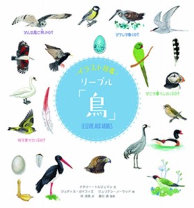 【図鑑】 ナタリー・トルジュマン / イラスト図鑑 リーブル「鳥」 送料無料