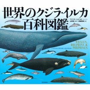 【図鑑】 アナリサ・ベルタ / 世界のクジラ・イルカ百科図鑑 送料無料